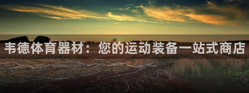 星欧娱乐扣钱步骤详解：韦德体育器材：您的运动装备一站式商店