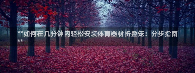 江苏星奥娱乐有限公司招聘：**如何在几分钟内轻松安装体育器材