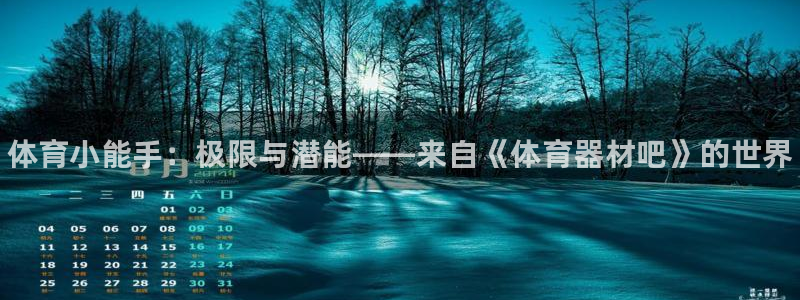 星欧娱乐挂机教程视频：体育小能手：极限与潜能——来自《体育器 