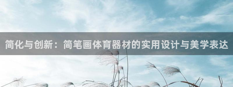 星欧娱乐扣款时间查询方法怎么查不了：简化与创新：简笔画体育器