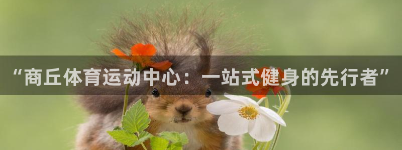 星游娱乐1官网下载