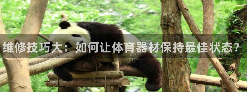 星欧娱乐扣款时间查询方法是什么呢：维修技巧大：如何让