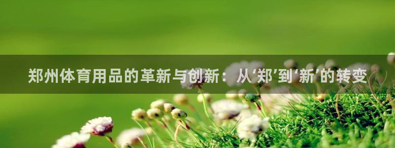 星欧娱乐法711.112扣费如何处理：郑州体育用品的