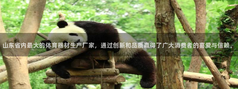 星奥娱乐集团怎么样