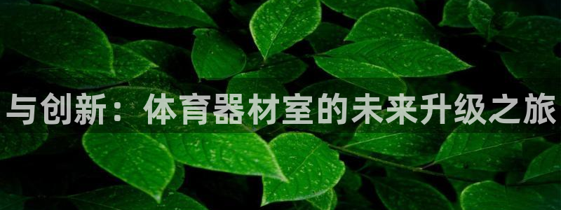 星奥娱乐集团股份有限公司