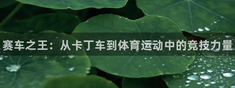 星欧娱乐属于什么档次