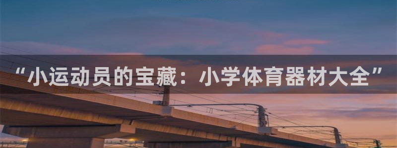 星欧娱乐扣款时间查询方法怎么查：“小运动员的宝藏：小学体育器 