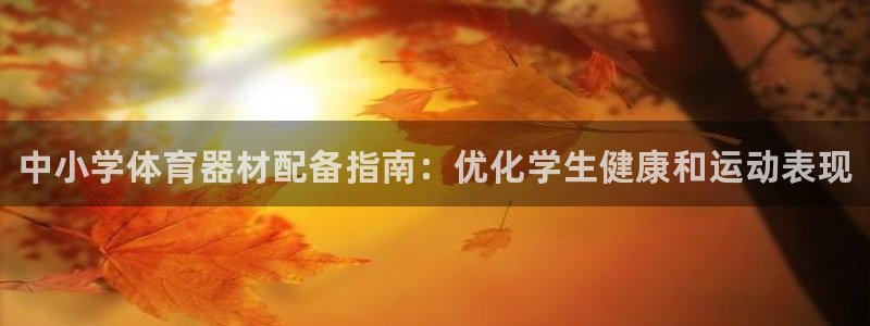 星欧娱乐联最新新闻：中小学体育器材配备指南：优化学生