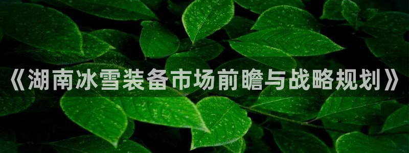 星欧娱乐24小时客服电话：《湖南冰雪装备市场前瞻与战略规划》