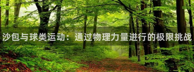 星奥娱乐集团：沙包与球类运动：通过物理力量进行的极限挑战 